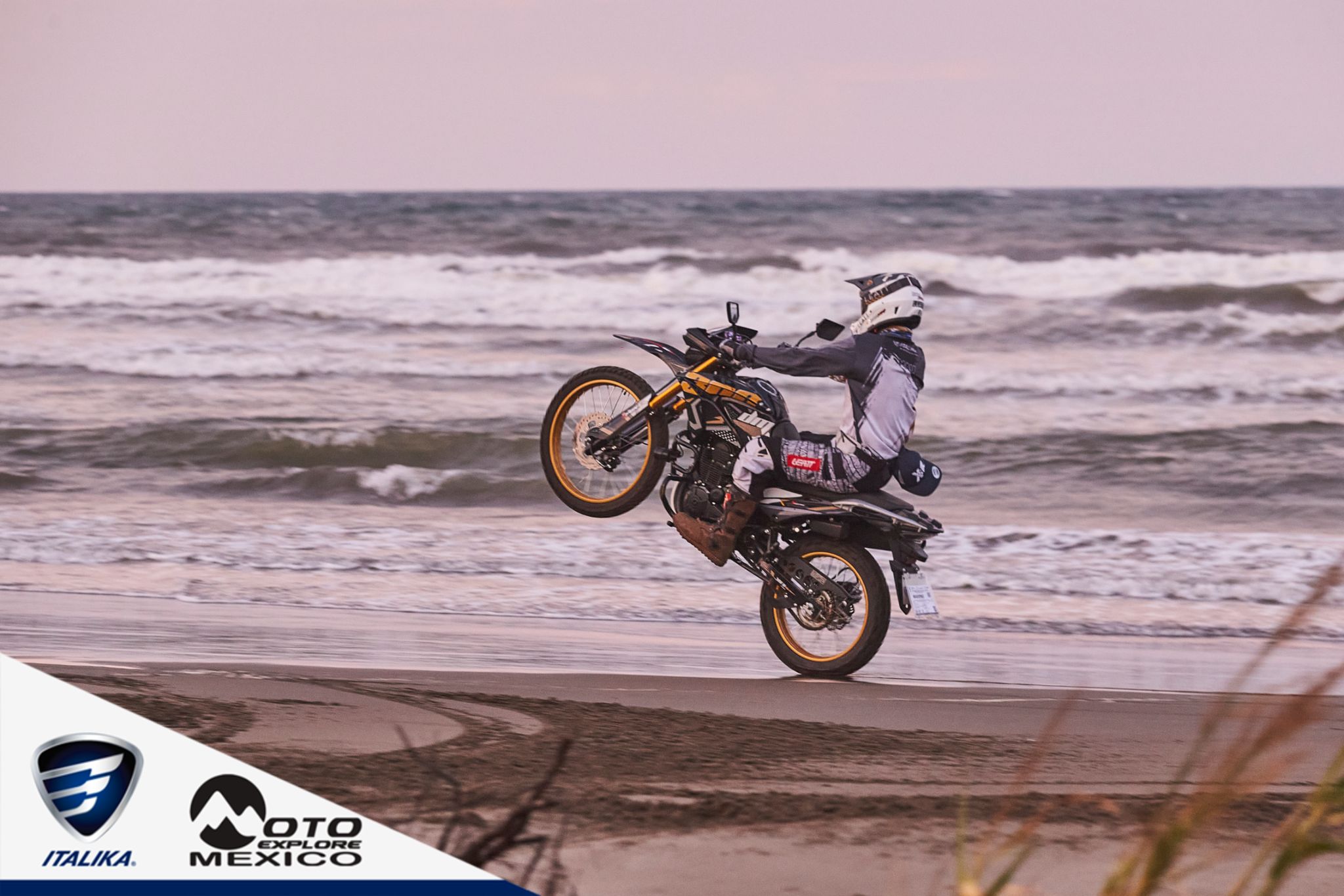 ITALIKA CHACHALACAS D1 453